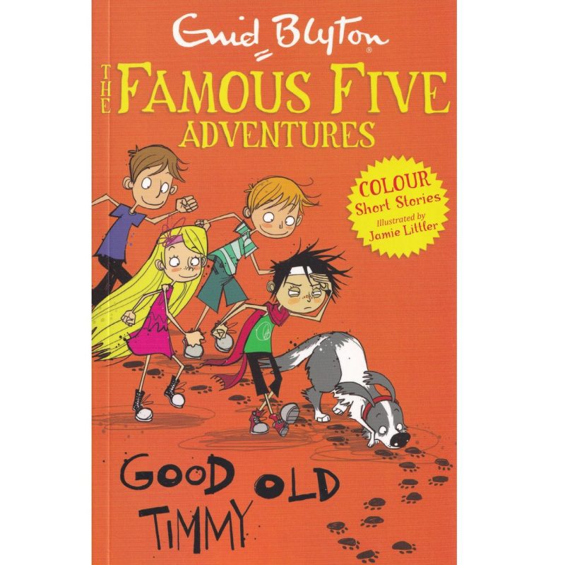 Famous Five Colour Short Stories: Good Old Timmy