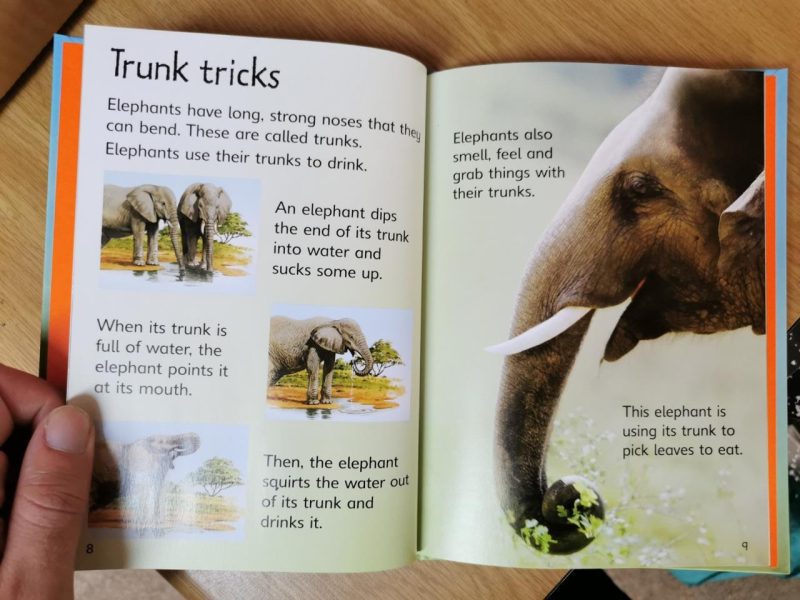 Usborne Beginner Reader - Elephants