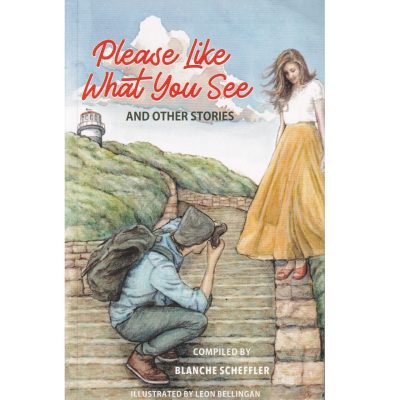 Please Like What You See and Other Stories