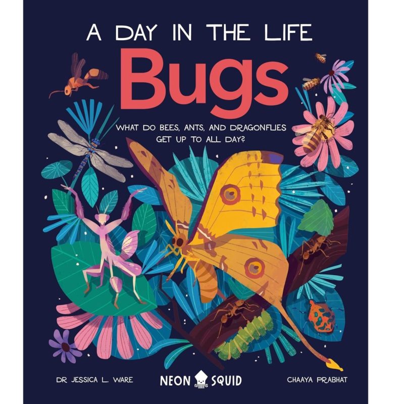 Bugs (A Day in the Life)