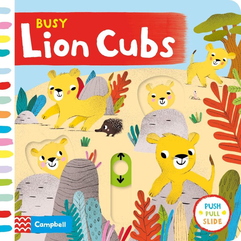 Boardbook - PPS - Busy Lion Cubs