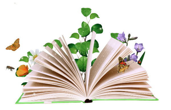 Magical Storybook Encouraging Young Readers